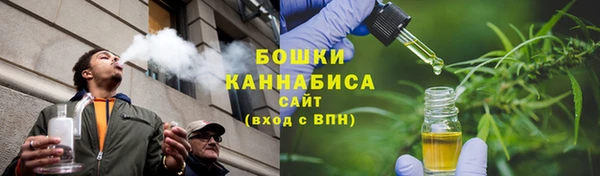 ГАЛЛЮЦИНОГЕННЫЕ ГРИБЫ Корсаков