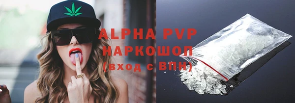 крисы Коряжма