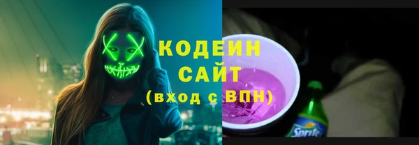 ГАЛЛЮЦИНОГЕННЫЕ ГРИБЫ Корсаков
