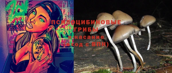 крисы Коряжма