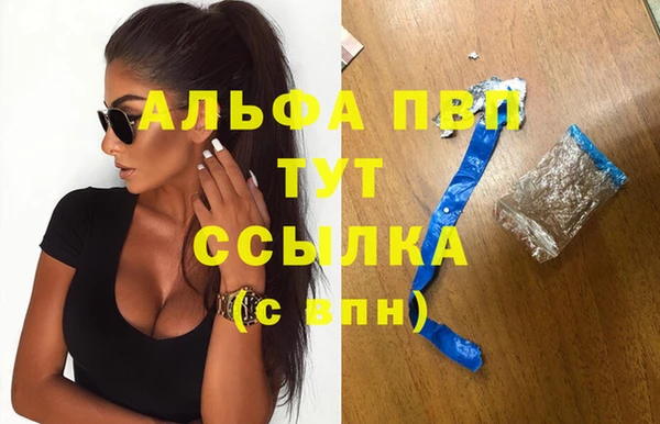 ГАЛЛЮЦИНОГЕННЫЕ ГРИБЫ Корсаков