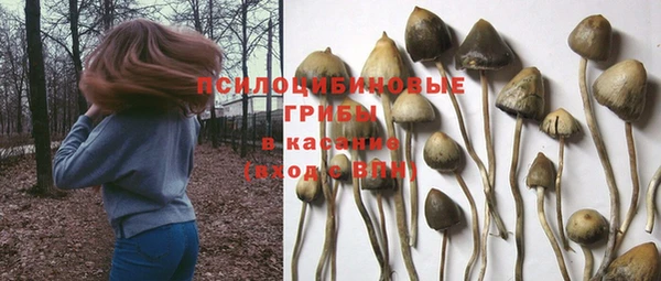 крисы Коряжма