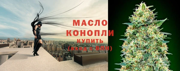 крисы Коряжма
