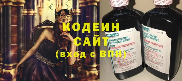 ГАЛЛЮЦИНОГЕННЫЕ ГРИБЫ Корсаков