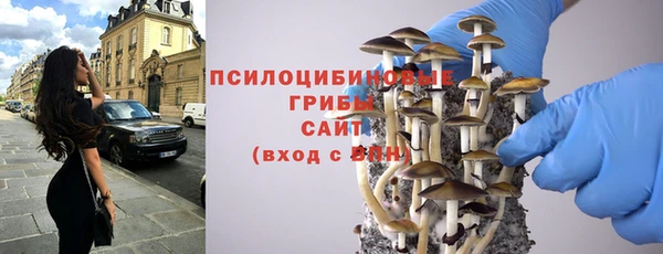 крисы Коряжма
