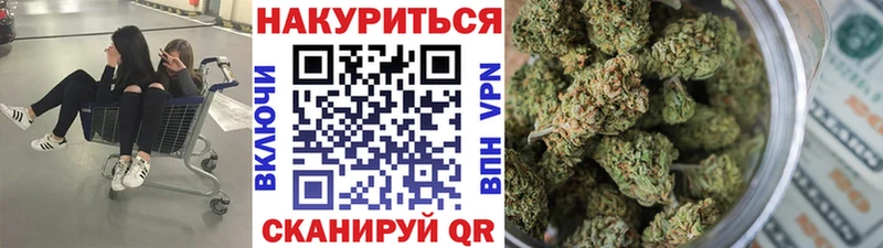 Купить где  Юрьев-Польский  Бошки марихуана MAZAR 